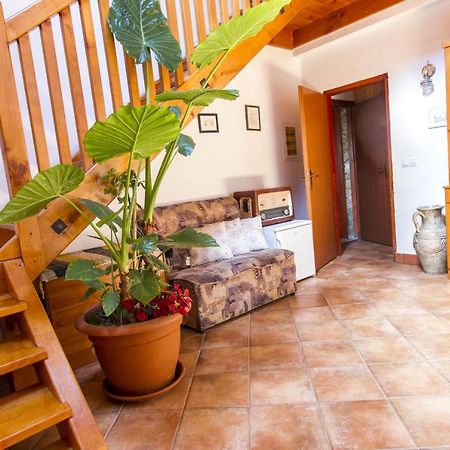 Holiday Home Juricko With Private Sauna Bizeljsko Екстериор снимка