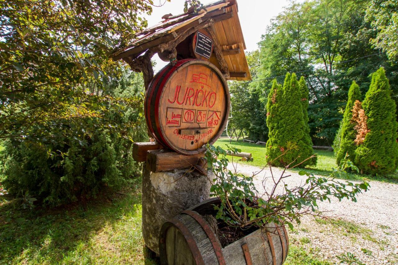 Holiday Home Juricko With Private Sauna Bizeljsko Екстериор снимка