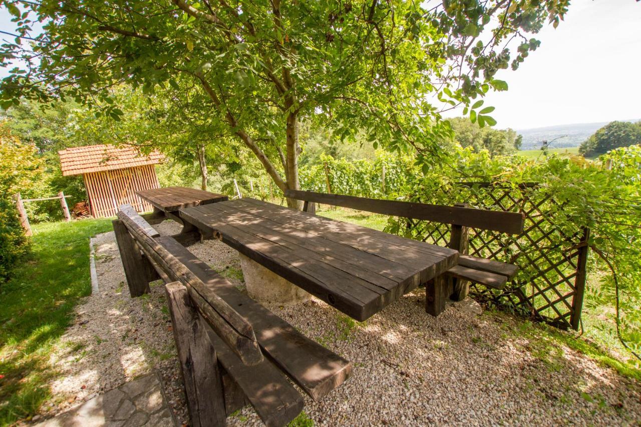 Holiday Home Juricko With Private Sauna Bizeljsko Екстериор снимка