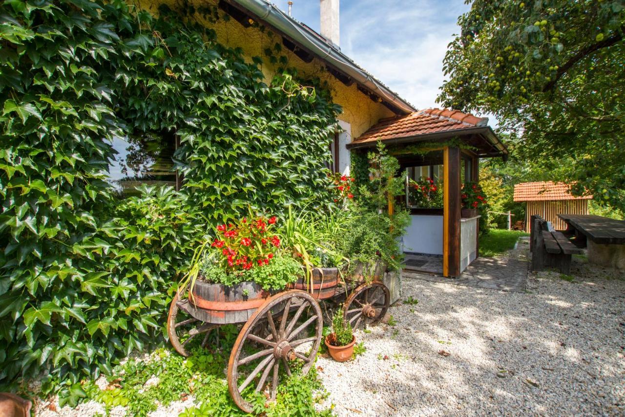 Holiday Home Juricko With Private Sauna Bizeljsko Екстериор снимка